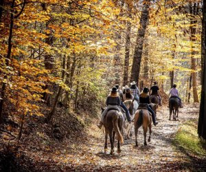 Pine Ridge Dude Ranch provides a family-friendly hotel and plenty of rustic entertainment.