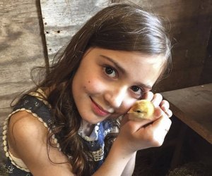 little girl holding a baby duck at petting zoos near Chicago