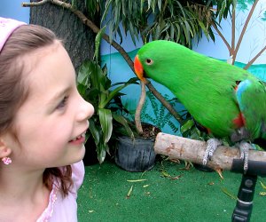 Top 20+ Stuff to do in pittsburgh 5 Pittsburgh with Kids: 40 Fun Things To Do in ... - MommyPoppins