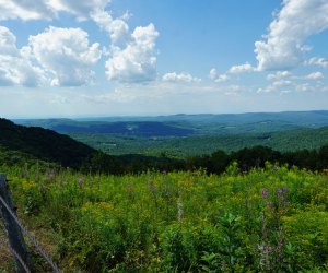 Pittsfield, Ma with kids view from Berry Pond Mountain