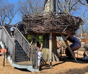 Climb into the fantastic bird's nest at the Children's Zoo section of Franklin Park Zoo