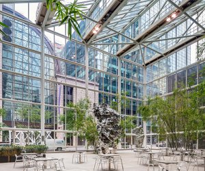 Escape the cold at the public atrium at 590 Madisn Avenue