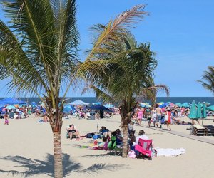 Enjoy the palm trees at Point Pleasant, New Jersey. Photo courtesy the boardwalk