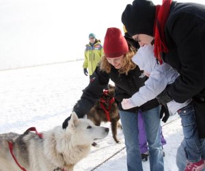 Polar Adventure Days mean plenty of fun activities with huskies, wild animals, hot cocoa and more! Photo courtesy of the Chicago Park District