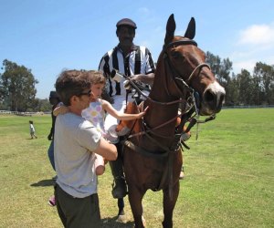 Free in May: The Best Free Activities and Things To Do in Los Angeles for Mother's Day and More Meet the horses after the (free) polo matches at Will Rogers State Park.