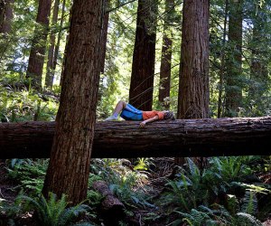 Forest Park Portland with Kids: 50 Best Things To Do in Portland, OR