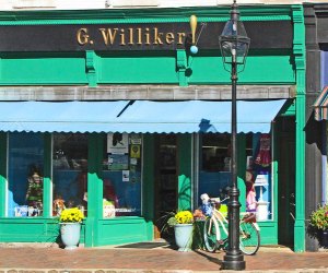 Image of G. Willikers toys - Things To Do in Portsmouth