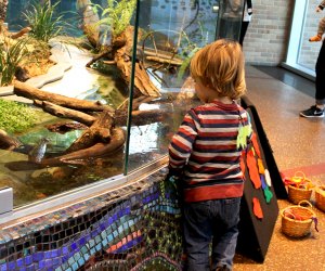 Lincoln Park Zoo Pritzker Family Play Zoo is indoors and free