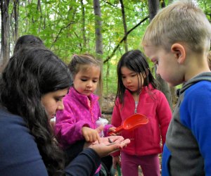 Kids see forest life firsthand at Puddlestompers. Photo courtesy of the program