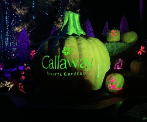 Experience a glowing wonderland in the Enchanted Pumpkin Forest at Callaway Gardens. Photo by the author