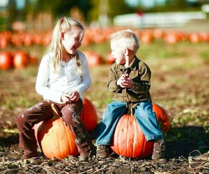 Best Pumpkin Patches in New Jersey for Kids - Mommy Poppins