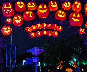 Pumpkin World: Pumpkin Arch