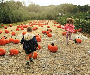 30 Perfect Family-Friendly Fall Day Trips from NYC | MommyPoppins ...