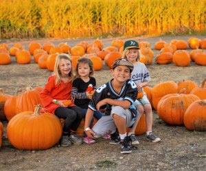 Halloween Events 2020 La S Ultimate List Of Haunted Drive Thrus Trick Or Treating Pumpkin Patches More Mommypoppins Things To Do In Los Angeles With Kids