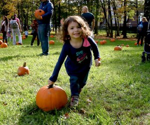 Pick a pumpkin, take a hayride, and more at Liberty Hall Museum's popular pumpkin patch day on Saturday. Photo courtesy of the museum