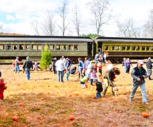 Get on board the Pumpkin Patch train this Halloween! Photo courtesy of the Railroad Museum of New England