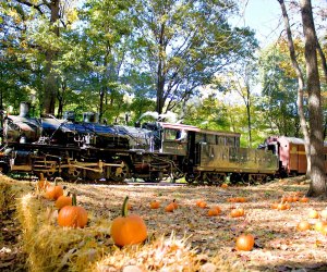 Take a ride aboard the legendary Pumpkin Train. Photo courtesy of Delaware River Railroad Excursions