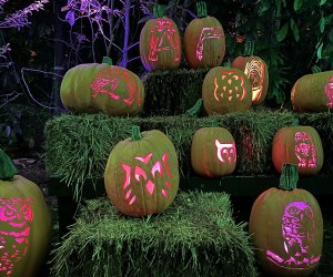 Pumpkins at Callaway Gardens welcomes guests during the day AND night for major fall fun! Photo by Rebecca Leffler