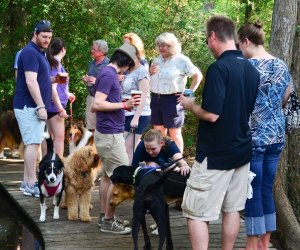 Leash up your pups and bring out your families for an afternoon of craft beer and four-legged friends. Photo courtesy of Saint Arnold's Brewing Co.