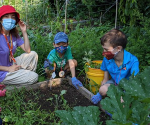 It's hands-on work and play in the garden in the Garden Buds program at the Queens Botanic Garden. 