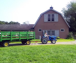 Fall activities in NYC: Queens County Farm Museum