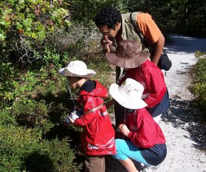 See plenty of animals during a hike through the Quogue Wildlife Refuge