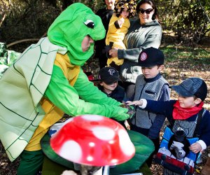 Things to Do on Long Island this Weekend with Kids: Comic Books, Enchanted Forest, Spooky Walk & Diwali Stroll the Enchanted Trail at the Quogue Wildlife Refuge. Photo courtesy of the refuge