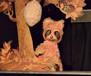 Raccoon Tales. Photo courtesy of Puppet Showplace Theater