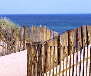 Image of walkway to Race point Beach, a Cape Cod beach for families with kids.