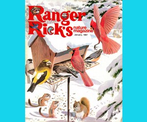 Best Magazine Subscriptions for Kids: Ranger Rick