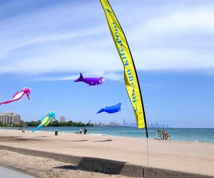 Rainbow beach has so much sandy beach to walk on.