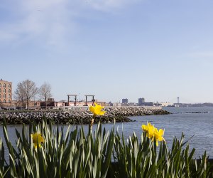 The historic Red Hook area combines pretty views with industrial flair. Photo by Marley White for NYCgo