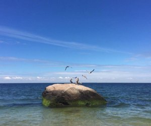 Top things to do in Riverhead with kids: Reeves Beach