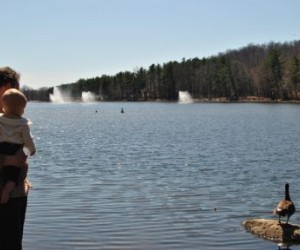 NJ Parks: Exploring the Regatta Playground in Essex County's South Mountain Recreation Complex