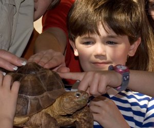 My Reptile Guys, birthday party entertainer in Houston