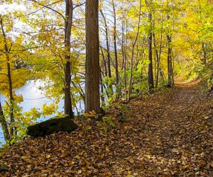 Image of Vermont hiking trail - Fall Day Trips from CT