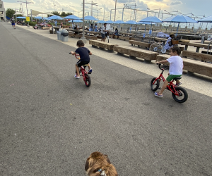 two boys ride bikes