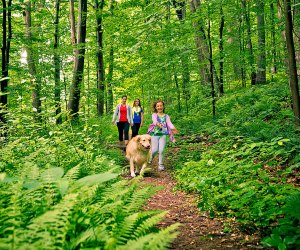 Things to Do in Philly this Weekend: Performances, Dog Show, Take a Hike November 16-17 Take a hike at Ridley Creek. Photo courtesy of Visit Philadelphia