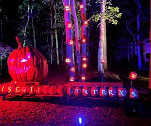 Rise of the Jack O’Lanterns is back and bigger than ever on Long Island.