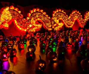 See more than 5,000 hand-carved and illuminated pumpkins at Rise of the Jack O' Lanterns. Photo courtesy of the event
