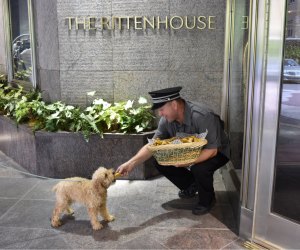 The Rittenhouse welcomes families with children and dogs too! 