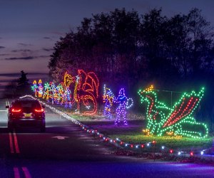 Dragon Christmas Lights line the Riverhead Holiday Light Show drive through