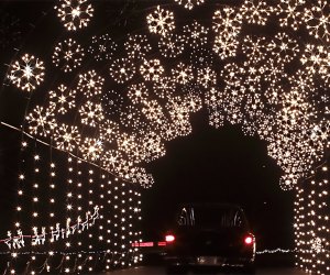 Town of Riverhead Holiday Light Show's spectacular snowflake tunnel