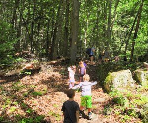Explore the woods at the Roaring Brook Nature Center's camp. Photo courtesy the camp