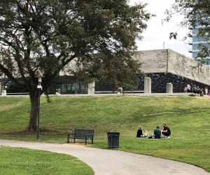 Why You Should Visit LACMA: Roll down a grassy hill.