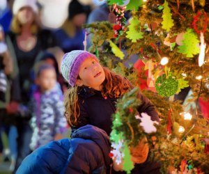 The Roslindale town tree is set aglow on Saturday. Photo courtesy of Roslindale Village Main Street