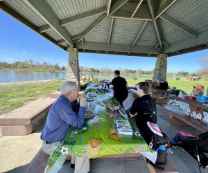 kids' birthday parties in Los Angeles: Lake Balboa Park