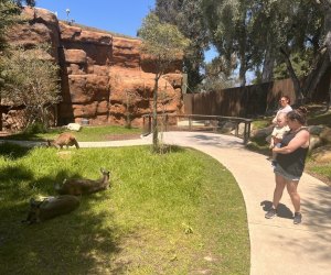 Santa Barbara Zoo: Australian Walkabout