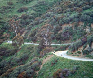 Top Attractions in Los Angeles: Runyon Canyon