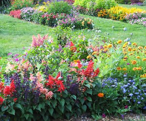 Rutgers Gardens features beautiful flooms